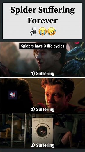 Spider-Man Funny Life Cycle 🌟 #SpiderMan #MemeCulture #Marvel