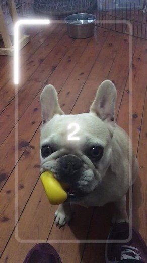 geisha_girls (@geishagirl_tess)’s videos with This Is Halloween - Hairy & Scary Creatures