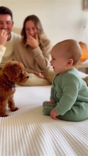 Baby & Puppy Best Friends 🥹 #dog #funny #baby #shorts