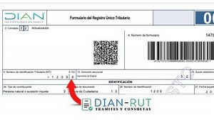 Paso a paso para descargar el RUT por Internet en el 2023