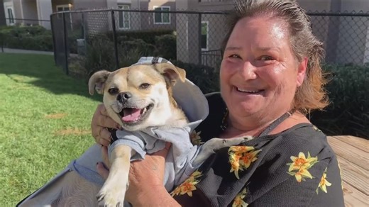 San Diego Humane Society rescue dog becomes lifeline for San Diego woman battling depression