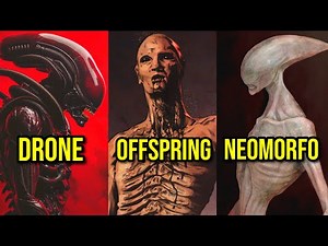 ALL TYPES OF XENOMORPHS FROM THE ALIEN SAGA EXPLAINED! - INCLUDING NEOMORPH, OFFSPRING, PROTOMORP...