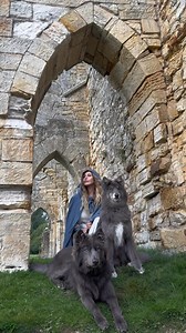 282K views · 25K reactions | Perfect Blue Wolves for an Noldorin Elf  . . . . #elf #galadriel #wolf #wolves #lordoftherings #fantasycosplay #darkelf | Anneka Svenska | Facebook