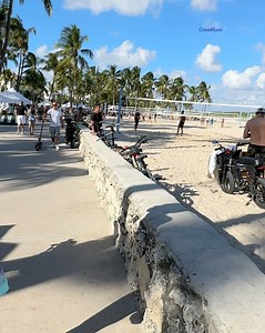 Maravilloso Lummus Park en Miami Beach 😍 | Cuba en Miami