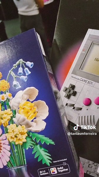 Expanding My LEGO Collection with New Additions