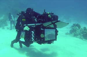 Nature - Featurette (5) VOST