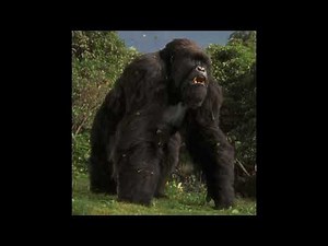 mighty joe young sound effect