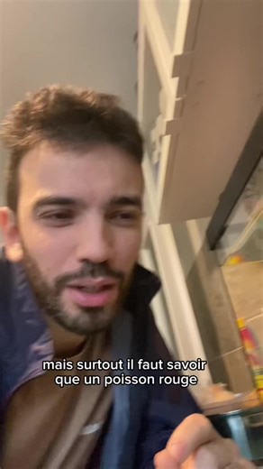 Les poissons rouges : des animaux de compagnie controversés