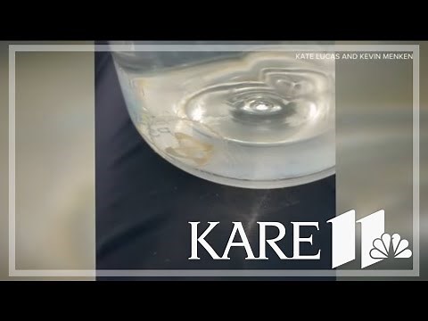 Rare freshwater jellyfish spotted in Richfield lake, Minnesota DNR confirms