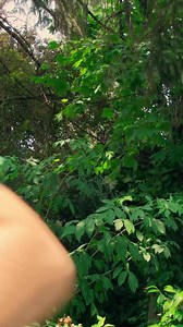Soutenez-nous dès maintenant ! Le lien est dans la bio 💪 | MagiCJacK