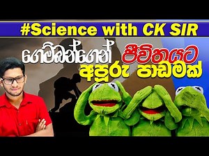 ගෙම්බන්ගෙන් ජීවිතයට අපූරුම පාඩමක් - විභාගයට,ජීවිතයට උපදෙසක්-motivation - science with ck sir epapere