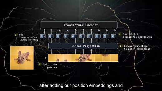 ViT算法解读与模型微调训练--Python