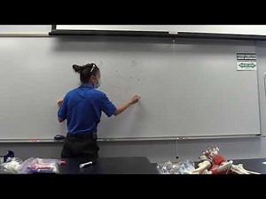 Diffusion & Osmosis Concepts and Lab Overview