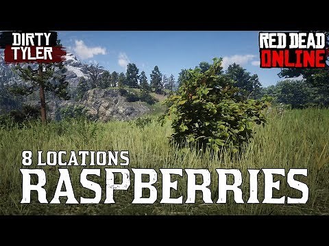 Raspberries RDR2 Raspberry Bush locations Red Dead Online