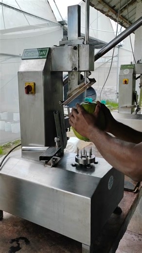 Young Coconut Trimming Machine for Efficient Coconut Processing