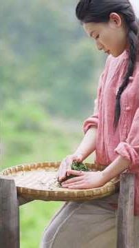 Picking Tea in the Mist 🌿 | Trading for Spring