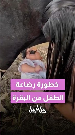 أم ترضع طفلها من البقرة بشكل مباشر لاعتقادها أنه سيستفيد أسرع‼️😱