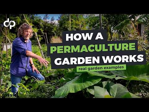 How a Permaculture Garden Works