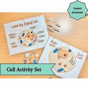 Cell Structure Activity Set: Animal, Plant & Bacteria Cell Models (printable Diagram) - Etsy