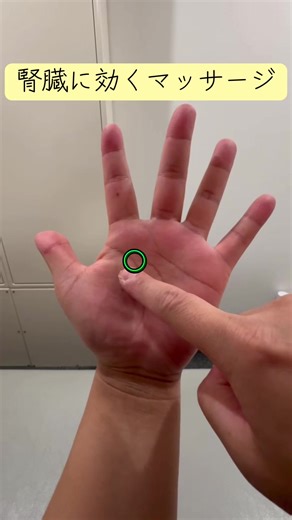 練馬区練馬駅(西口)から徒歩2分の「練馬整体院」です♪ 今回は腎臓と副腎の反射区です！ これらに負担がかかると、さまざまな症状が出ます。 特に疲れなどが取れにくくなるので、ぜひやってみて下さい！ ———————————— 予約やお問合せは、HPや公式LINE等からお待ちしております♪ 🟢公式LINE：596pvrrt 【練馬整体院】 📞電話：03-6914-6885 🏠住所：東京都練馬区豊玉北5丁目19-9 ラ・フロレゾン3F 🚉最寄駅：練馬区練馬駅 (西口) 徒歩2分 (西武池袋線/有楽町線/都営大江戸線) ℹ️受付：火〜金 11:00～21:00（最終受付20:15まで） 土日祝 10:00～19:00（最終受付18:30まで） ⭐️【初回骨格整体60分が ¥2,980】 初回所要時間60分の流れは以下の通りです。 ・カウンセリング ・可動域チェック ・施術時間→施術時間25分 ・今後の料金説明 ・お会計 ◯頭痛 / 眼精疲労 / 自律神経の乱れ / 睡眠の質 ◯首痛 / 首コリ/ ストレートネック / 寝違え ◯肩痛 / 肩コリ / 四十肩 / 五十肩 ◯背中痛 / 背中