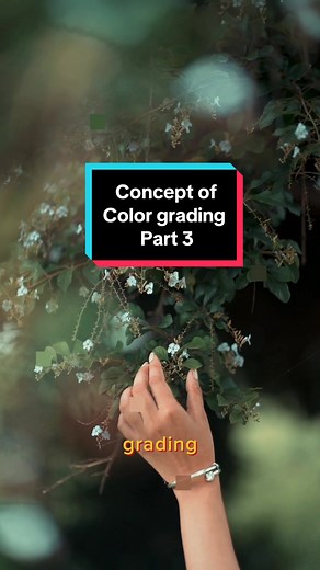 Color Grading Tutorial: Adjustments and Color Harmony