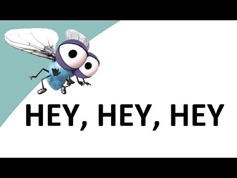 HEY, HEY, HEY (Nicolas Fischer)