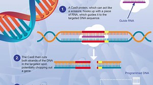 "The Code Breaker" is available now. I hope you will read it and share your thoughts here. | Walter Isaacson