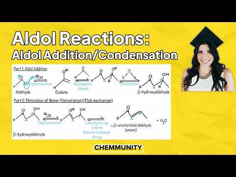 Aldol Addition and Condensation Reactions | Melissa Maribel