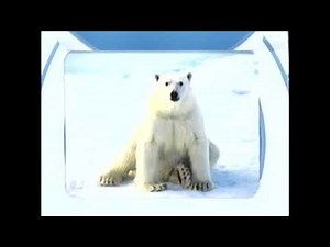 Jordan’s Sound Effects Compilation No.223:Sound Ideas, ANIMAL, BEAR - SEVERAL GROWLS