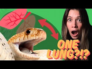 5 Herpetology Facts That Will Blow Your Mind