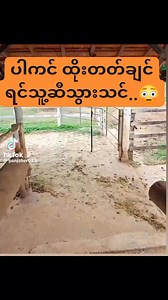 2.3M views · 10K reactions | Baw Baw on Reels | Facebook