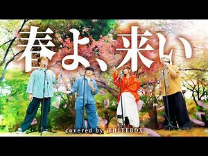 春よ、来い / 松任谷由実 - covered by WHITEBOX【歌ってみた】