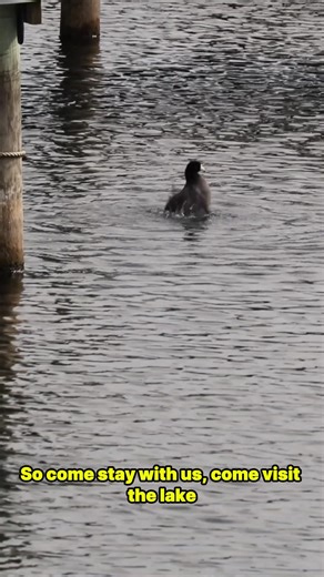 We love Seneca Lake, and we know you will too! Come stay with us for easy access to all of the fishing, boating, and wine-tasting the lake has to offer! | Watkins Glen / Corning KOA Resort