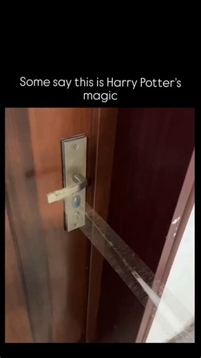 science on Instagram: "Defying gravity with common stationary! This "invisible bridge" stunt turns a simple strip of paper into a structural marvel using the science of geometry and load distribution! 📄🌉 What you’re seeing here is a demonstration of structural rigidity—how a flimsy material like paper can support its own weight over a massive span when its cross-section is modified. It relies on a perfect balance of tensile strength and compression resistance. First, the creator anchors the pa