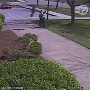 495K views · 6.3K reactions | This goose gets into a fight with a...