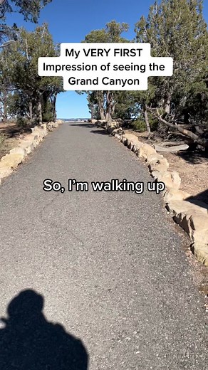 First Impression of Seeing the Grand Canyon