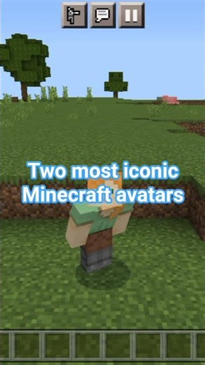 the most iconic Minecraft avatars #minecraft #steve #dream