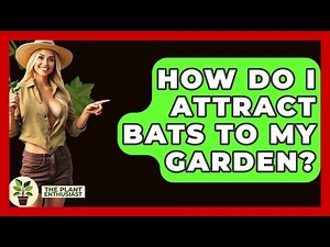 How Do I Attract Bats To My Garden? - The Plant Enthusiast
