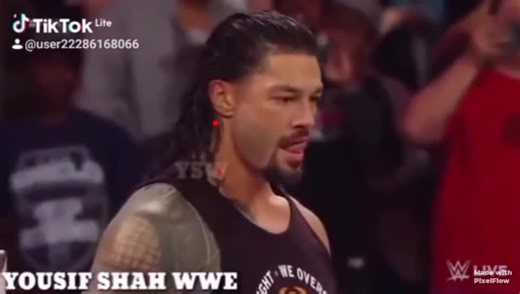 🦁🦁🦁🦁🦁🦁