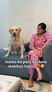 Simba Sab Samaj jata🥰 #dogsofinstagram #doglover #labrador #minivlog #dogreel | Simbatheboss