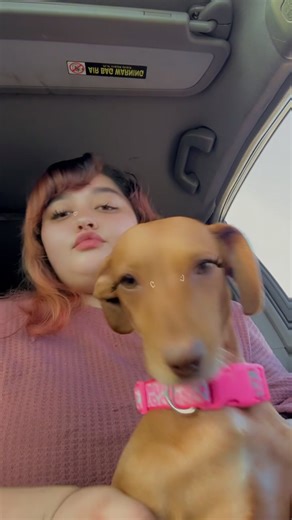 Luna(Katelyn) (@_luna_moona_)’s videos with original sound - RxCKSTxR