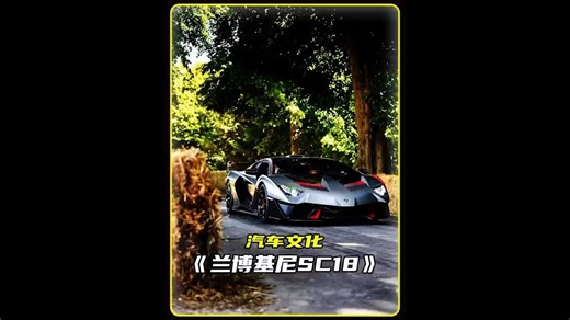 兰博基尼中比较稀有的车型，SC18