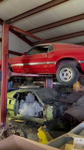 5.7K views · 795 reactions | A building full of 428 Mach 1 Mustangs?!? #abandoned #barnfind #mustang #mach1 #428cobrajet #patina #hoard #collection #forgotten | Adventures Made From Scratch | Facebook