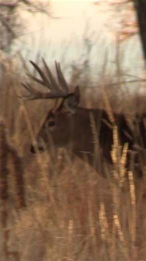 What's your target buck this year?