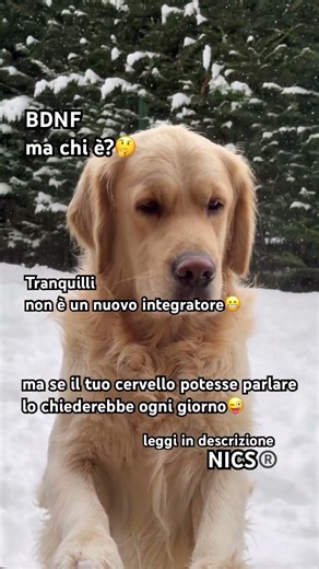 BDNF la molecola che fa lavorare meglio il tuo cervello😜 #short #foryou #nics