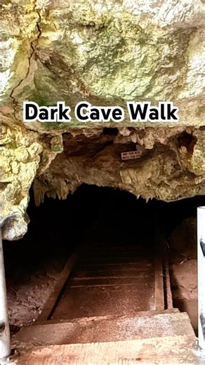 Inside the Bat Cave! A Thrilling Walk Through Nature’s Dark World!