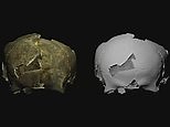 Archaeologists unearth 5,000 year old skull that had brain surgery