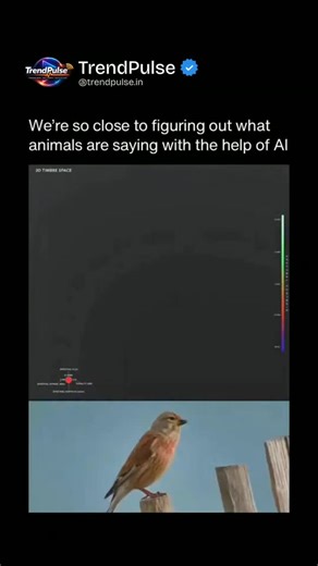 TheTrendpulse on Instagram: "For most of human history, animal sounds were just… noise. Now AI is listening differently. Not translating words — but detecting patterns, intent, and meaning hidden in pitch, rhythm, and repetition. What sounds random to us can signal alarms, coordination, or social bonding. AI turns millions of sounds into data we can finally understand — at scale. This isn’t science fiction anymore. It’s the beginning of how we understand other species. So here’s the real questio
