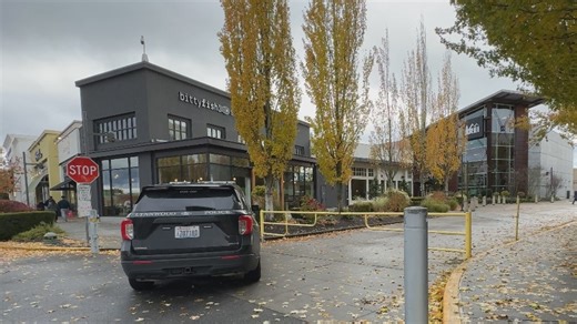 Lynnwood police caution public after string of armed holdups outside shopping centers