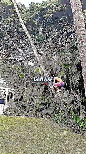 Joe Rogan on Tribal People's Feet! 🦶😲 #shorts